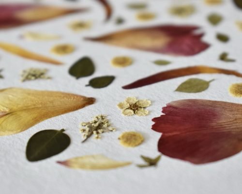 herbier tulipe rouge jaune cadre fleuri fleurs pressées décoration artisanale pistil et pastel galerie